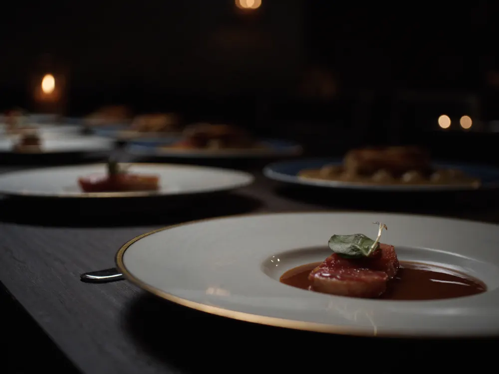 Plato gourmet emplatado en porcelana con borde dorado